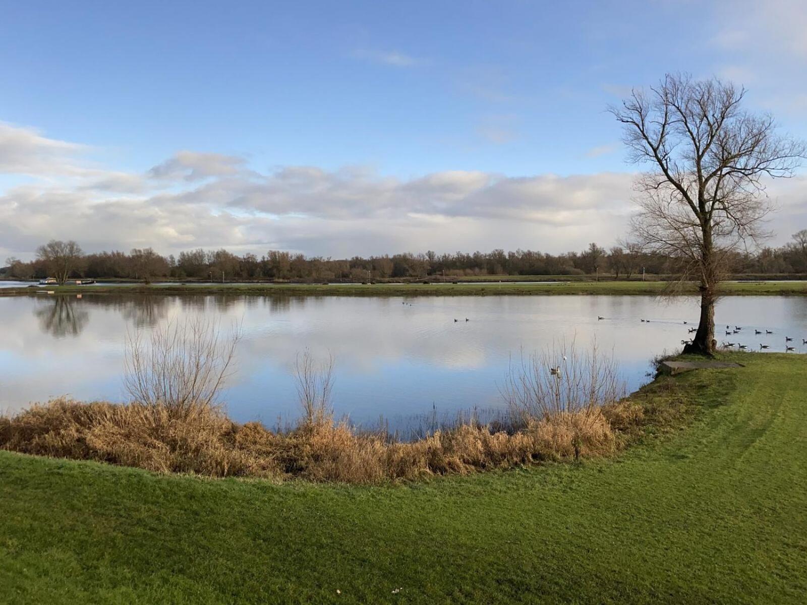 Recreatiepark En Jachthaven De Scherpenhof Terwolde Rom bilde